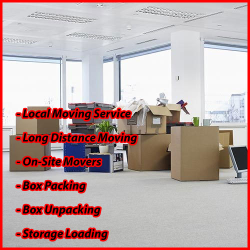 Packers And Movers Noida Sector 165